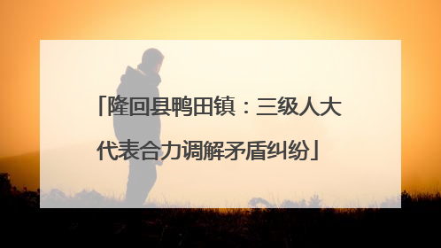 隆回县鸭田镇：三级人大代表合力调解矛盾纠纷