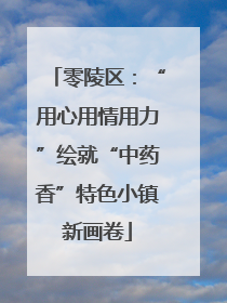 零陵区：“用心用情用力”绘就“中药香”特色小镇新画卷