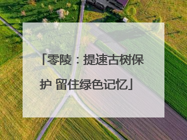 零陵：提速古树保护 留住绿色记忆
