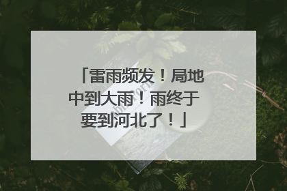 雷雨频发！局地中到大雨！雨终于要到河北了！