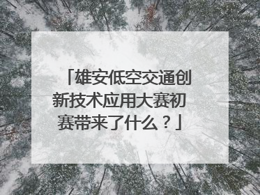 雄安低空交通创新技术应用大赛初赛带来了什么？