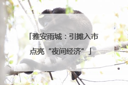雅安雨城：引摊入市 点亮“夜间经济”