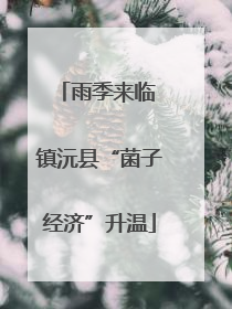 雨季来临 镇沅县“菌子经济”升温