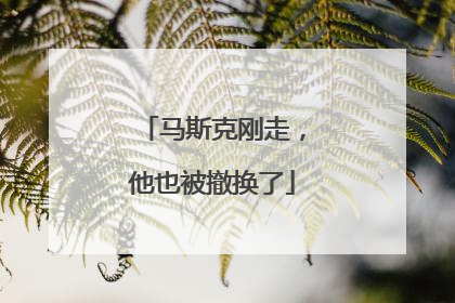 马斯克刚走，他也被撤换了
