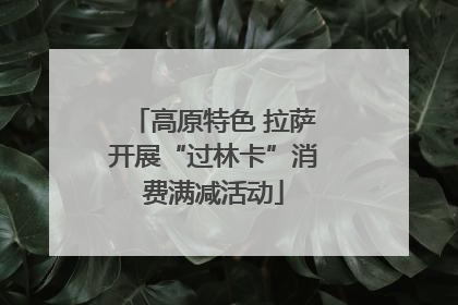 高原特色 拉萨开展“过林卡”消费满减活动