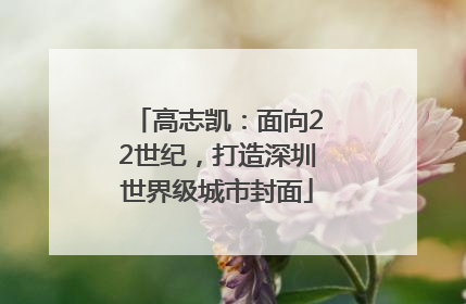 高志凯：面向22世纪，打造深圳世界级城市封面