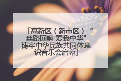 高新区（新市区）“丝路回响 爱我中华”铸牢中华民族共同体意识音乐会启幕