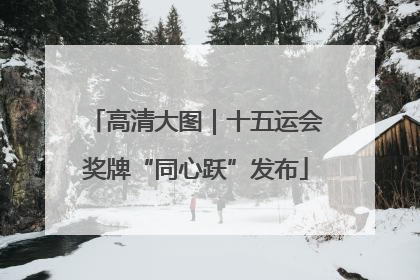 高清大图｜十五运会奖牌“同心跃”发布