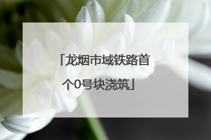 龙烟市域铁路首个0号块浇筑