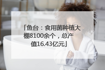 鱼台：食用菌种植大棚8100余个，总产值16.43亿元