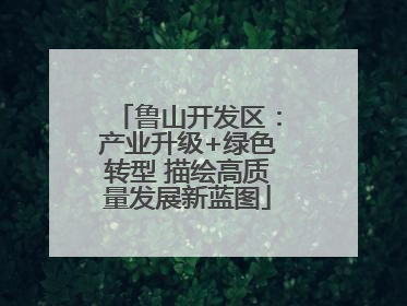 鲁山开发区：产业升级+绿色转型 描绘高质量发展新蓝图