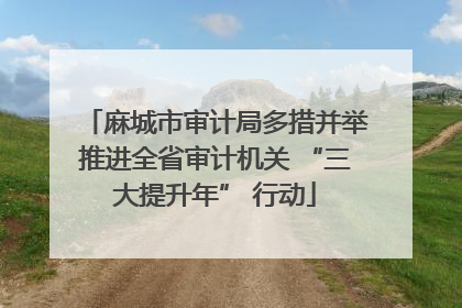 麻城市审计局多措并举推进全省审计机关 “三大提升年” 行动
