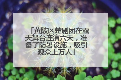 黄陂区楚剧团在露天舞台连演六天，准备了防暑设施，吸引观众上万人