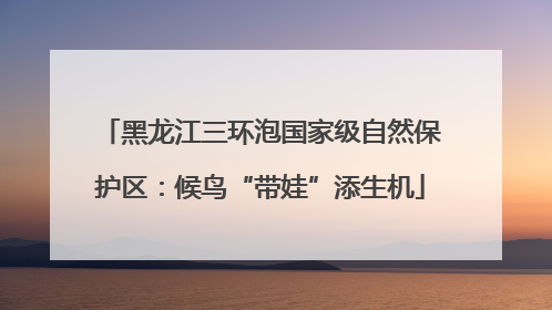 黑龙江三环泡国家级自然保护区：候鸟“带娃”添生机