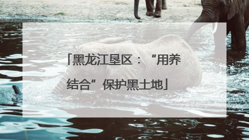 黑龙江垦区：“用养结合”保护黑土地