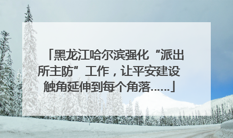 黑龙江哈尔滨强化“派出所主防”工作，让平安建设触角延伸到每个角落……