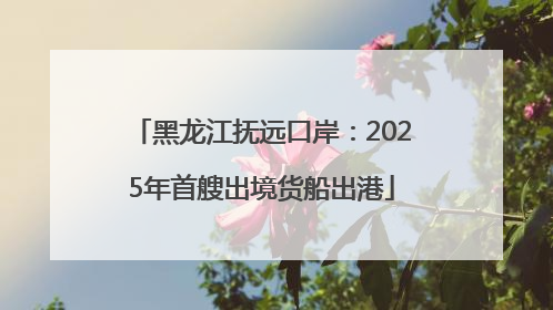 黑龙江抚远口岸：2025年首艘出境货船出港
