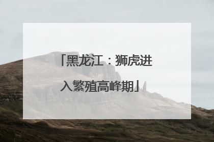 黑龙江：狮虎进入繁殖高峰期