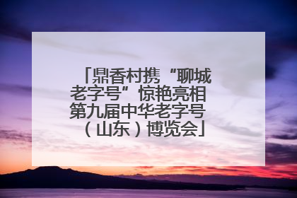 鼎香村携“聊城老字号”惊艳亮相第九届中华老字号（山东）博览会