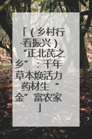 （乡村行·看振兴）“正北芪之乡”：千年草本焕活力 药材生“金”富农家