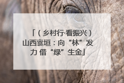 （乡村行·看振兴）山西襄垣：向“林”发力 借“绿”生金
