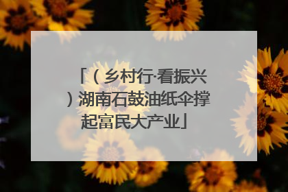 （乡村行·看振兴）湖南石鼓油纸伞撑起富民大产业