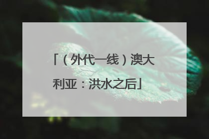 （外代一线）澳大利亚：洪水之后