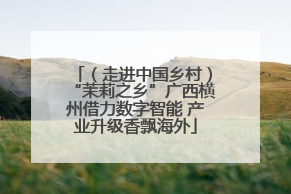 （走进中国乡村）“茉莉之乡”广西横州借力数字智能 产业升级香飘海外