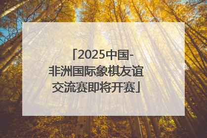 2025中国-非洲国际象棋友谊交流赛即将开赛