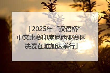2025年“汉语桥”中文比赛印度尼西亚赛区决赛在雅加达举行