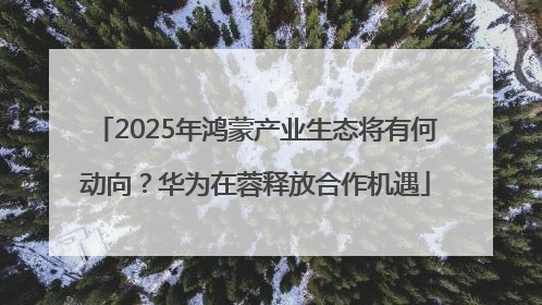 2025年鸿蒙产业生态将有何动向？华为在蓉释放合作机遇
