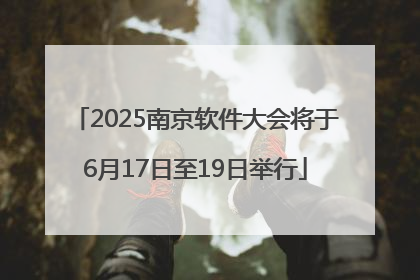 2025南京软件大会将于6月17日至19日举行