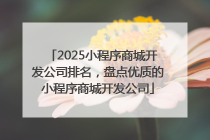 2025小程序商城开发公司排名，盘点优质的小程序商城开发公司