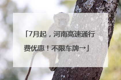 7月起，河南高速通行费优惠！不限车牌→