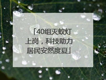 40组灭蚊灯上岗，科技助力居民安然度夏