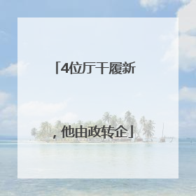 4位厅干履新，他由政转企