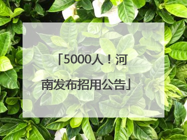 5000人！河南发布招用公告