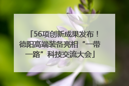 56项创新成果发布！德阳高端装备亮相“一带一路”科技交流大会