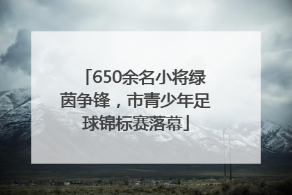 650余名小将绿茵争锋，市青少年足球锦标赛落幕