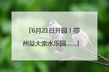 6月21日开园！鄂州最大亲水乐园……