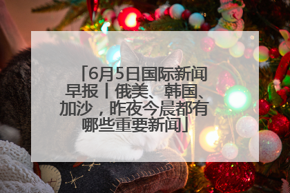 6月5日国际新闻早报丨俄美、韩国、加沙，昨夜今晨都有哪些重要新闻
