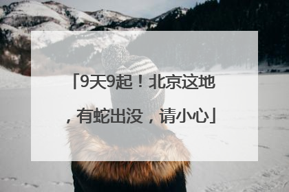 9天9起！北京这地，有蛇出没，请小心