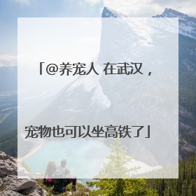 @养宠人 在武汉，宠物也可以坐高铁了