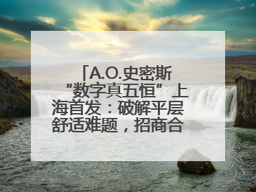 A.O.史密斯“数字真五恒”上海首发：破解平层舒适难题，招商合作火热开启！