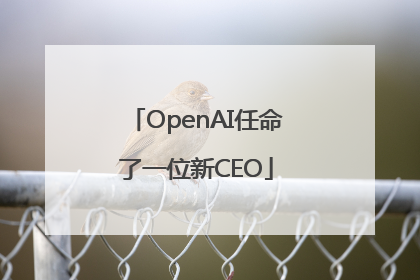 OpenAI任命了一位新CEO